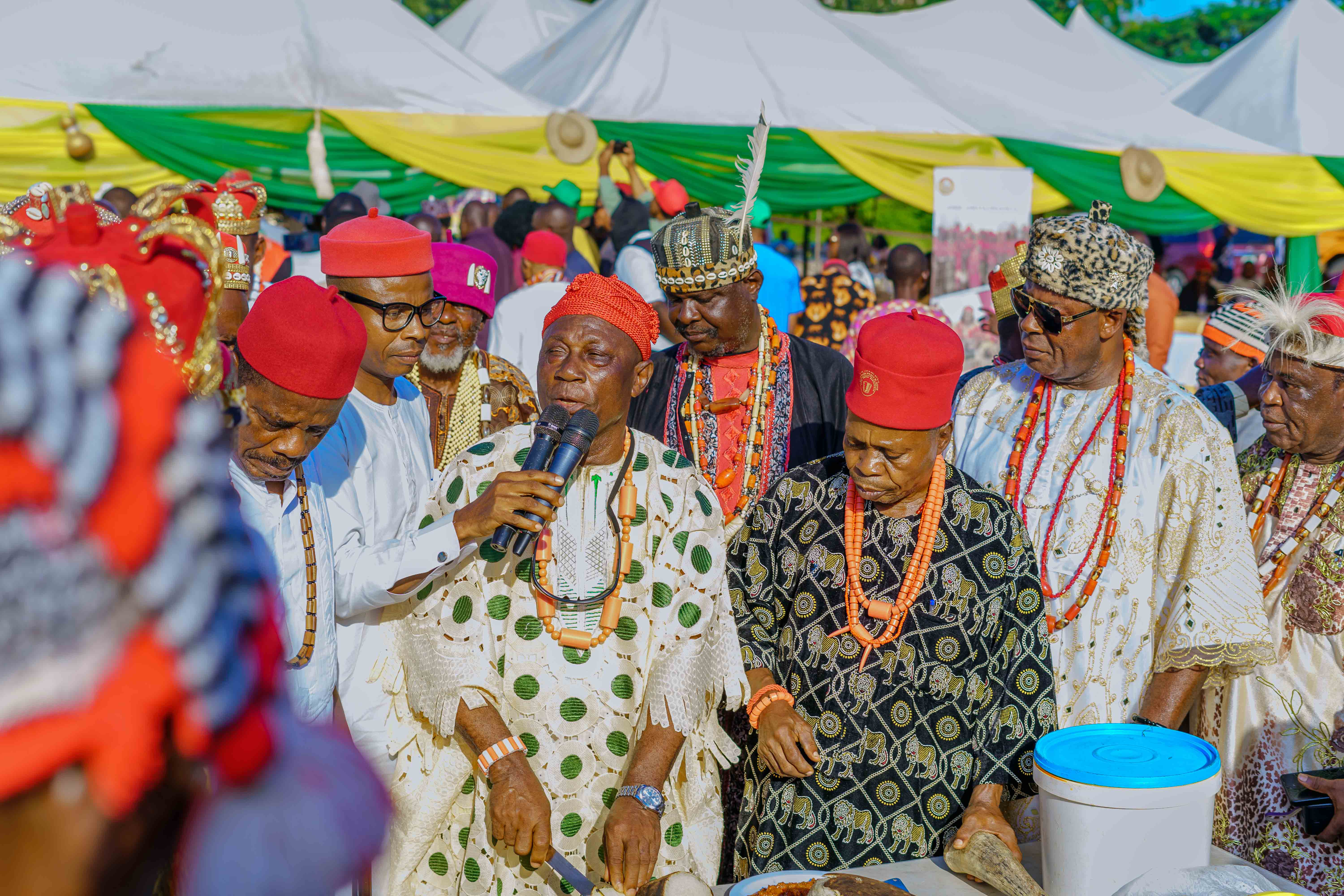 Crowd gathered for an Igbo New Yam Festival